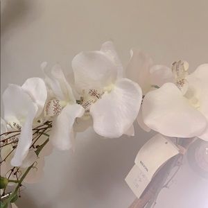 Meet your Posher, Besa